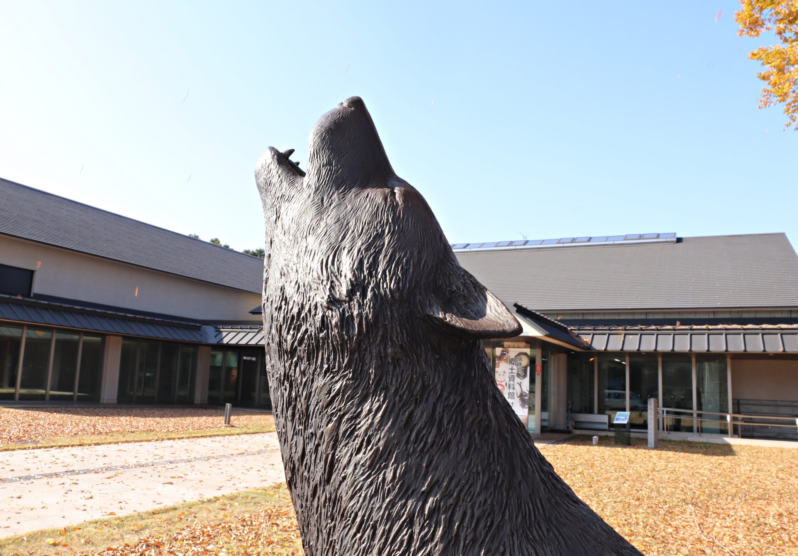 瑞穂町郷土資料館「けやき館」のニホンオオカミ像