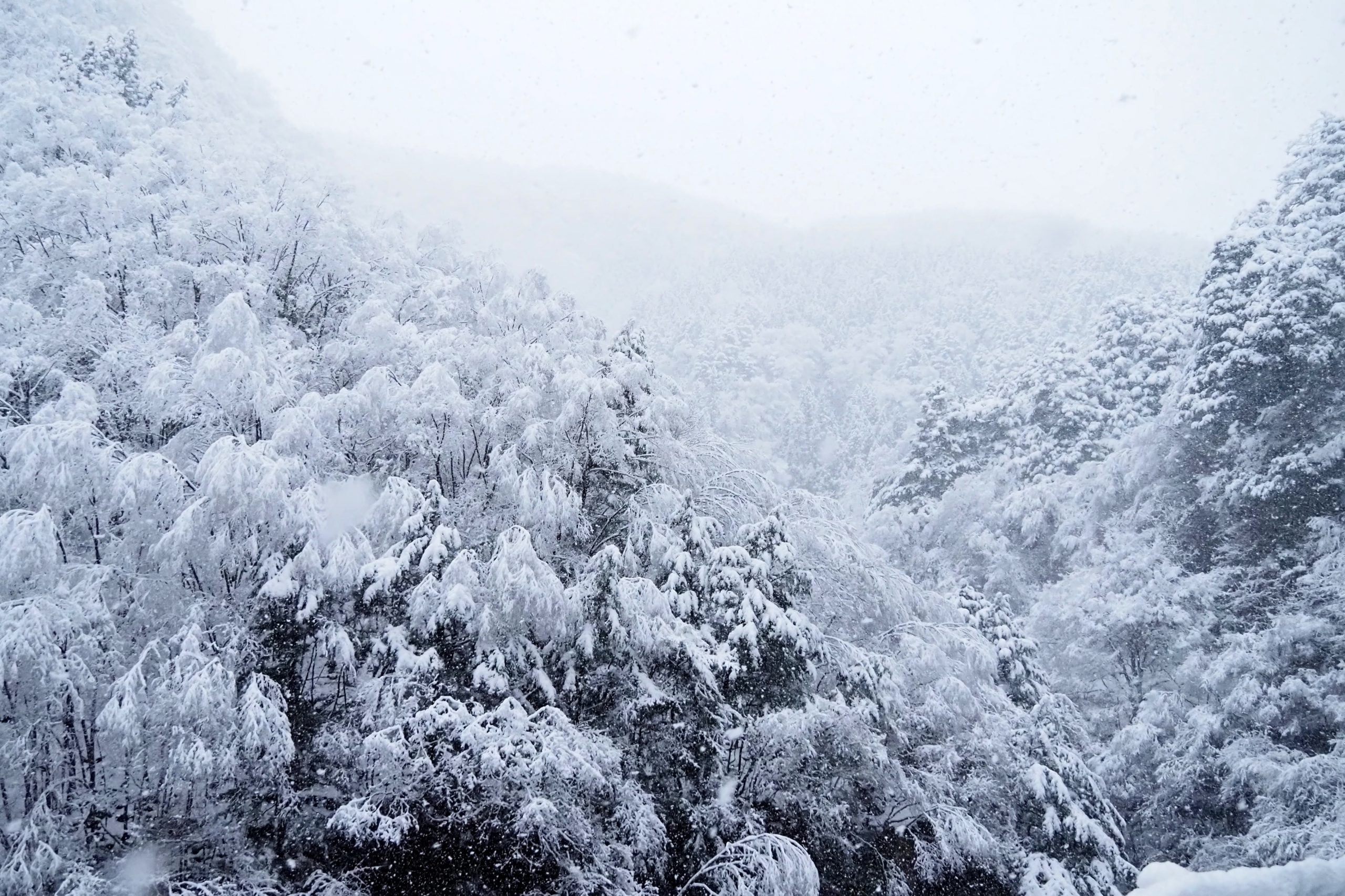 丹波山の雪