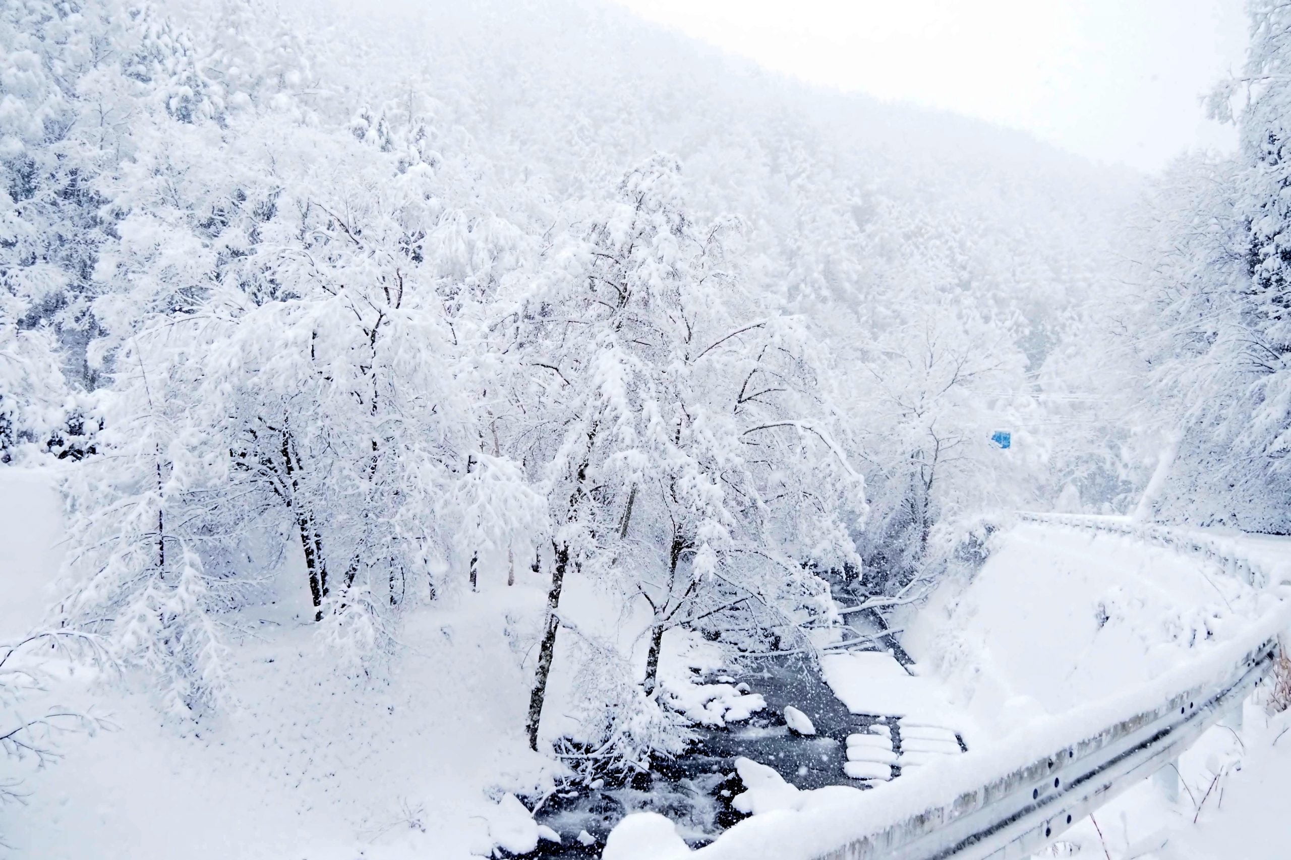 丹波山の雪